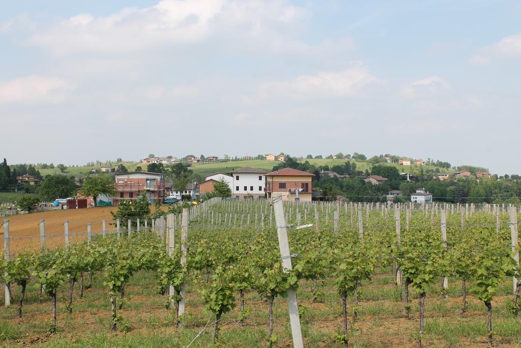 Agriturismo Le Casette Castelvetro di Modena Exteriér fotografie
