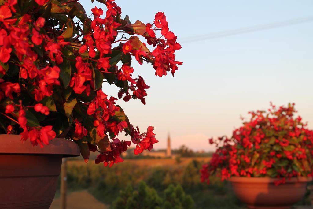 Agriturismo Le Casette Castelvetro di Modena Exteriér fotografie
