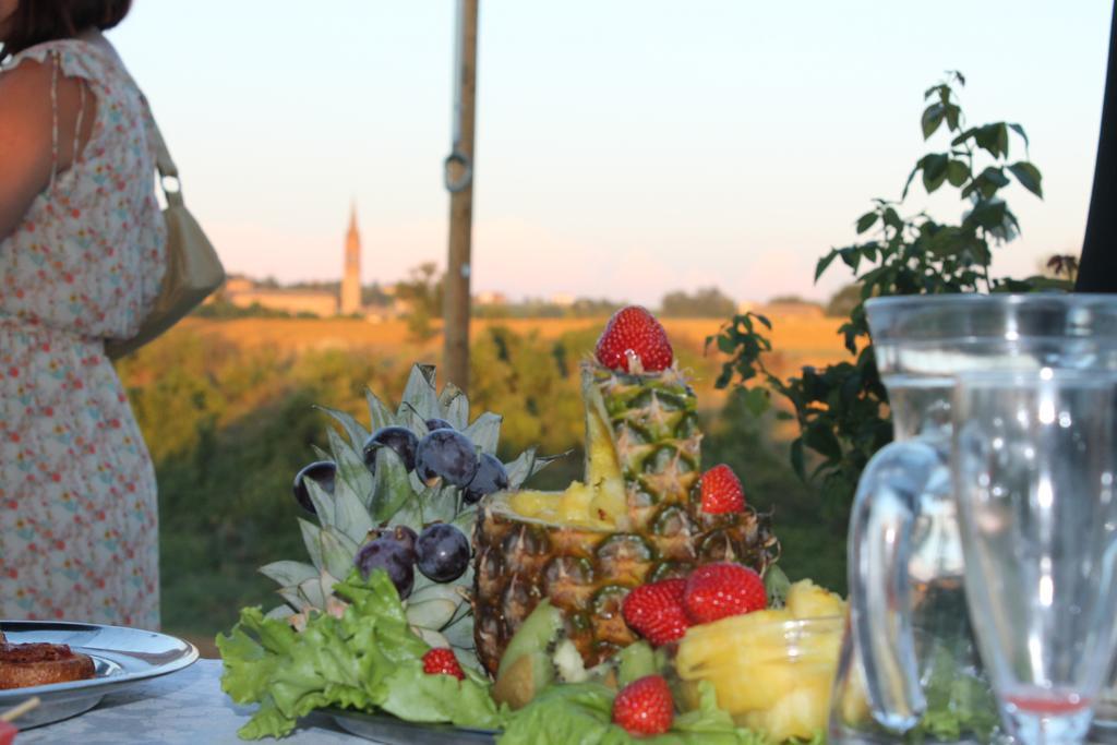 Agriturismo Le Casette Castelvetro di Modena Exteriér fotografie